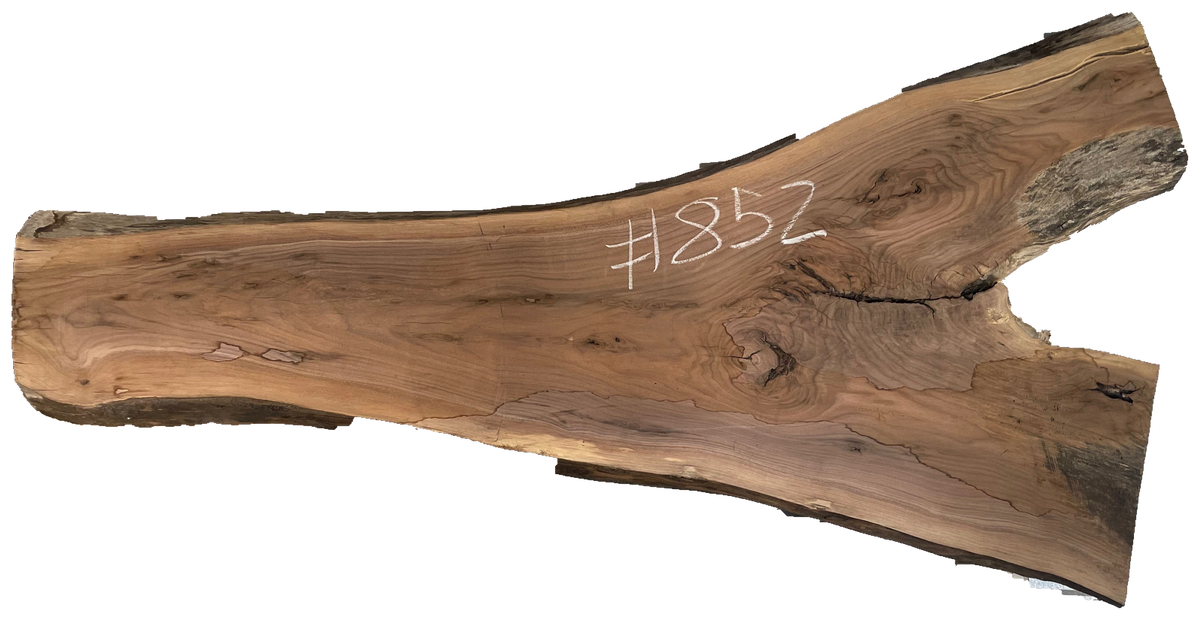 Black Walnut 8/4 Live Edge #852