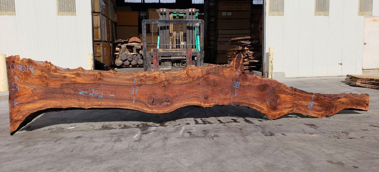 Bastogne Walnut Live Edge #09014 (SOLD)