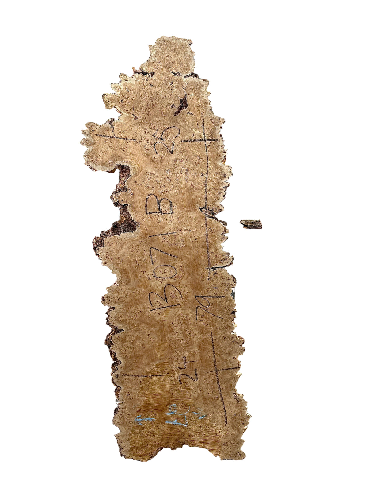 Cottonwood Live Edge #13071B