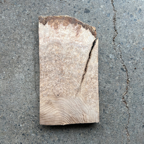 Ash Burl 9.5”x5.5”x1”