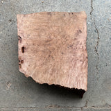 Madrone Burl 11”x9.5”x2.75”