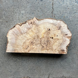 Ash Burl 12”x7”x1.25”