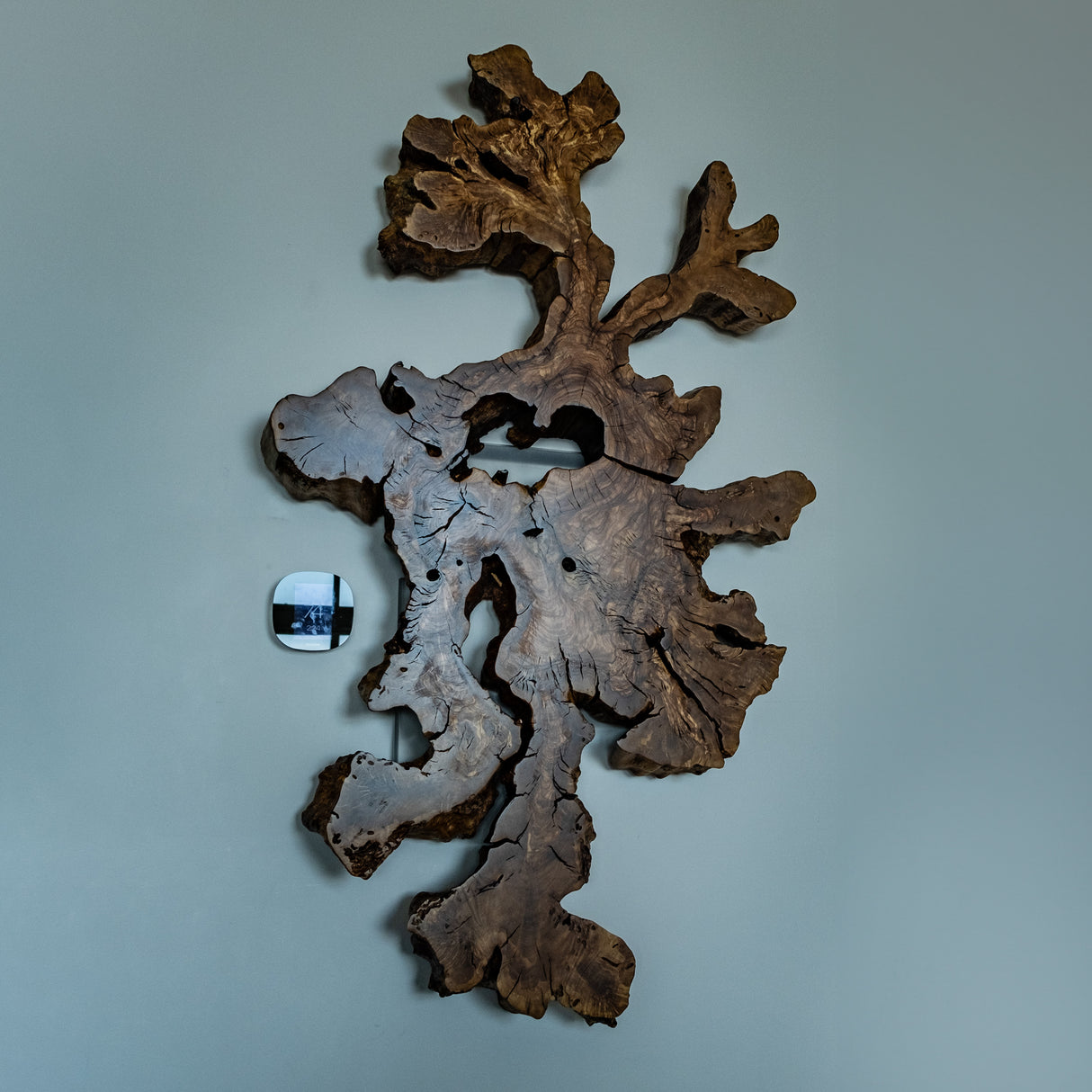 Olive Wood Wall Art