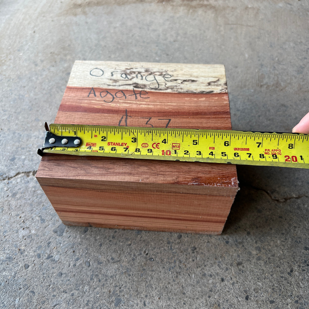 Spalted Orange Agate 6”x5.5”x3.5”