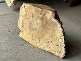 Honey Locust Burl 9”x5”x1.75”