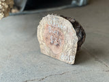 Chechen Burl 7”x6”x2.5”