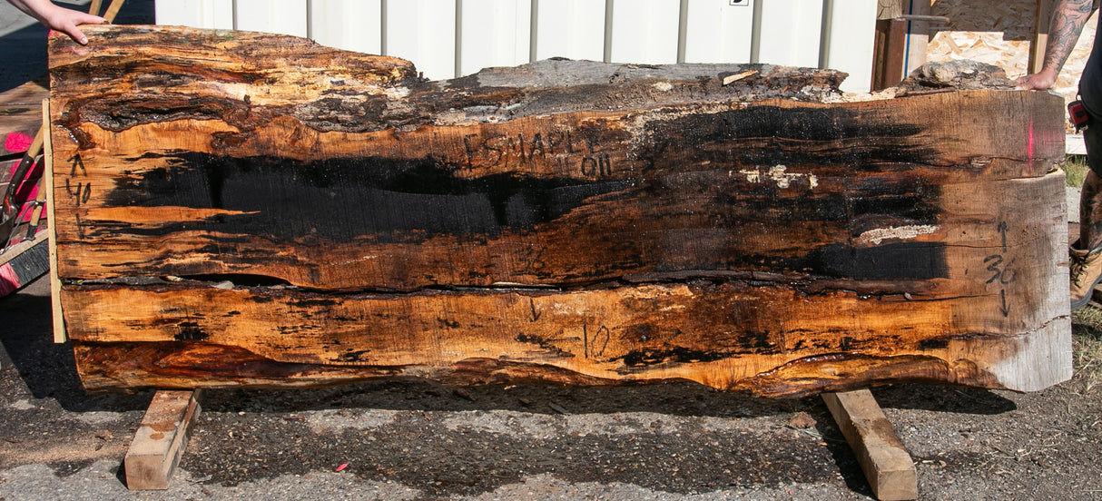 ES Maple Live Edge #011