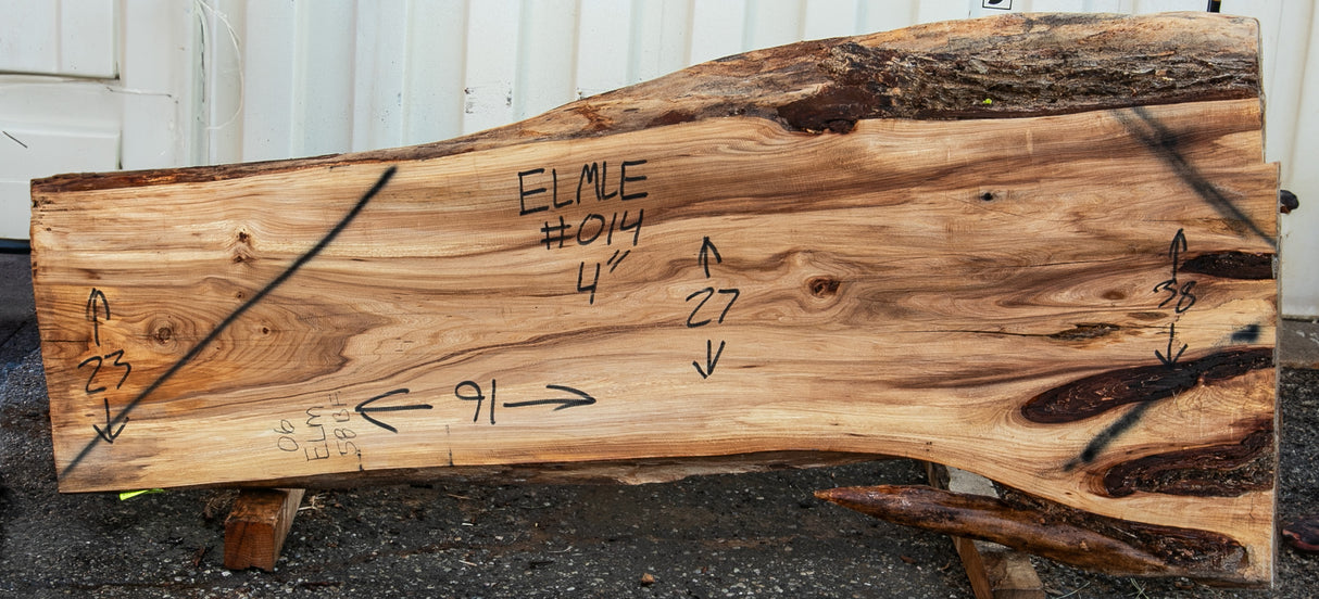 Elm Live Edge #014