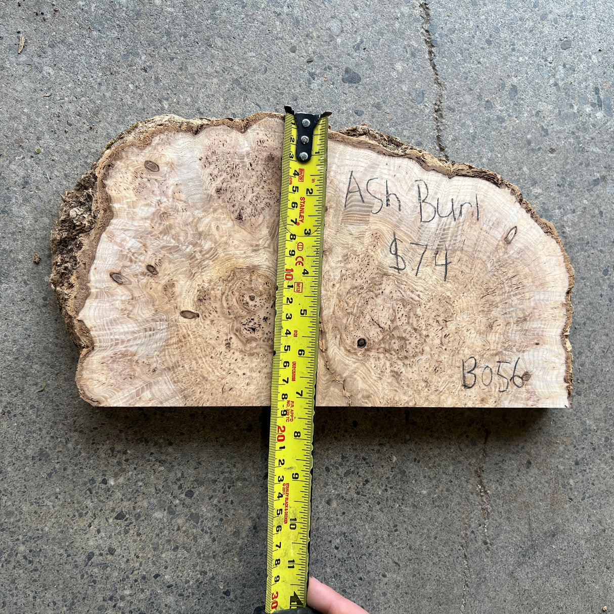 Ash Burl 12”x7”x1.25”