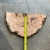 Olive Ash Burl 17”x8”x1”