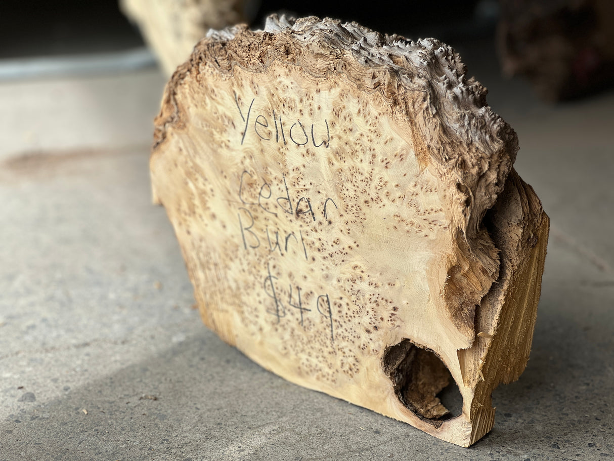 Yellow Cedar Burl 10”x9”x2.5”