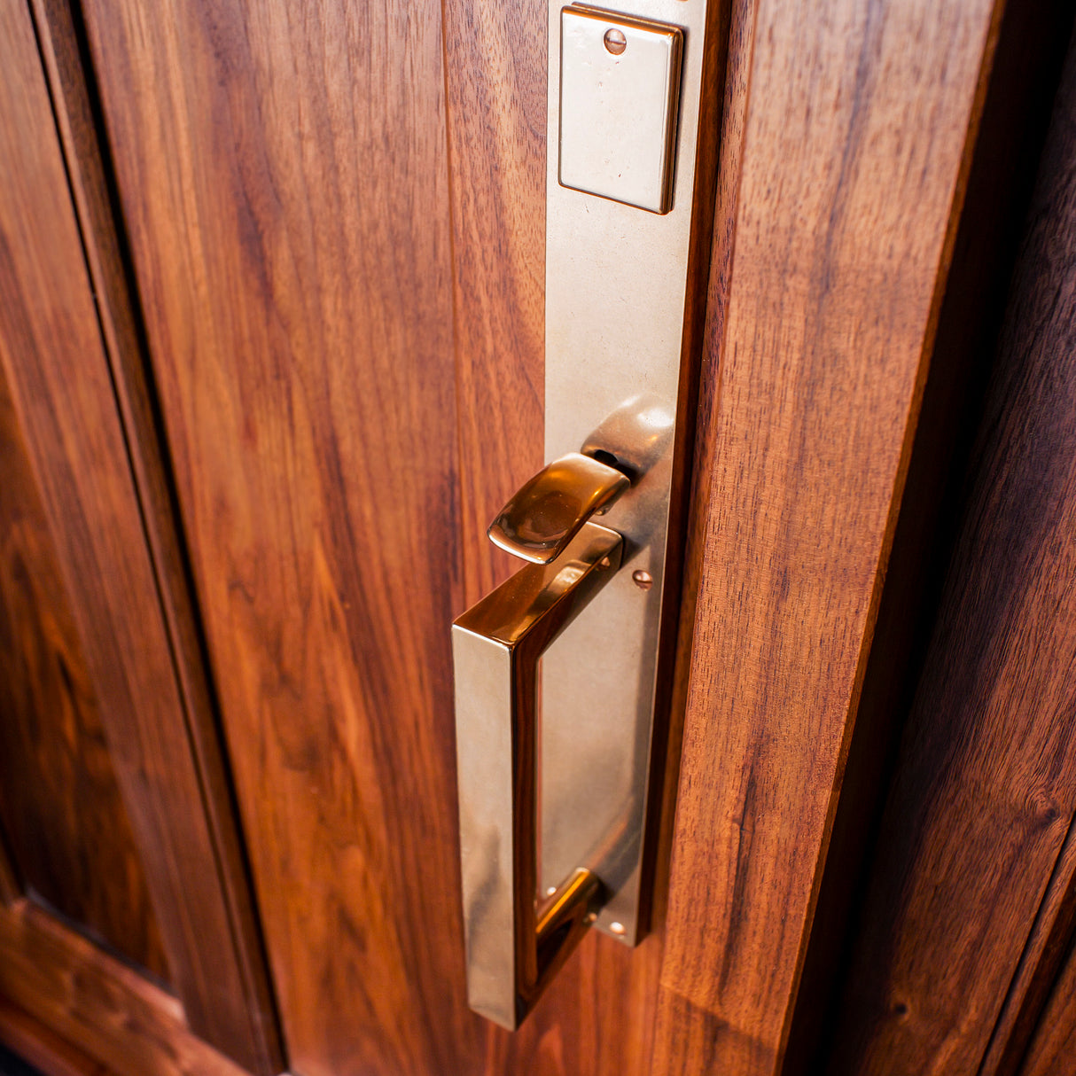 Solid Walnut Door
