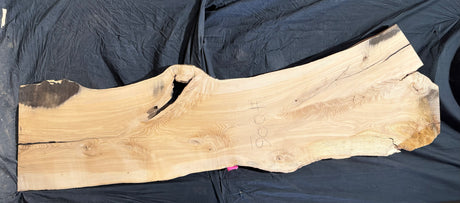 Ash 10/4 Live Edge #006