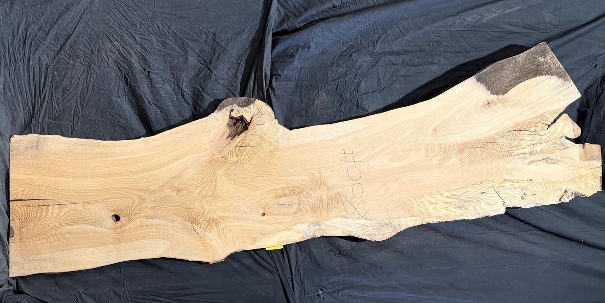 Ash 10/4 Live Edge #008
