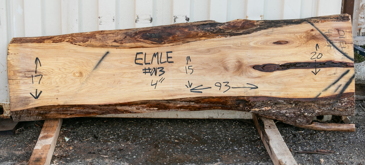 Elm Live Edge #013