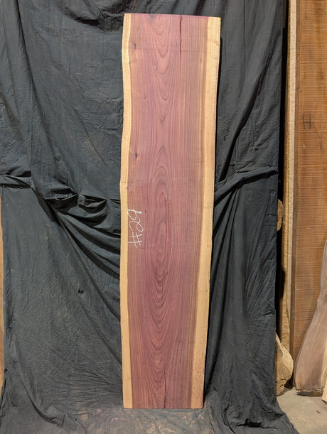 Purpleheart 5/4 Live Edge #029