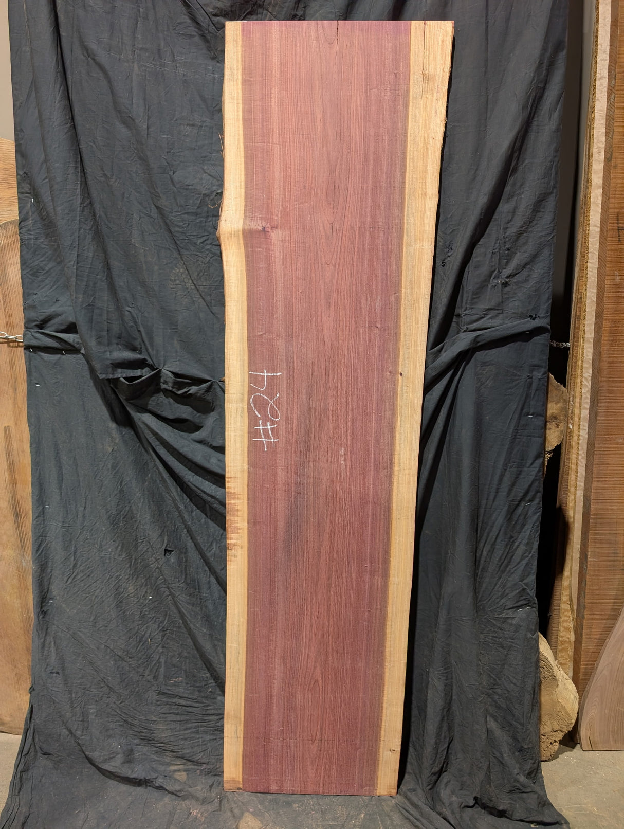 Purpleheart 5/4 Live Edge #024