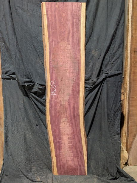 Purpleheart 5/4 Live Edge #022