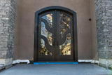 Buckeye Burl and Resin Exterior Door