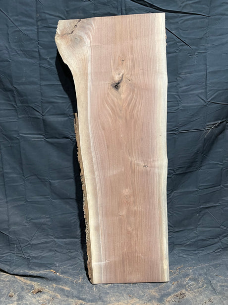 Black Walnut 8/4 Live Edge #491