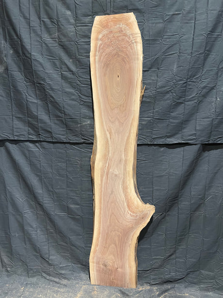 Black Walnut 8/4 Live Edge #531