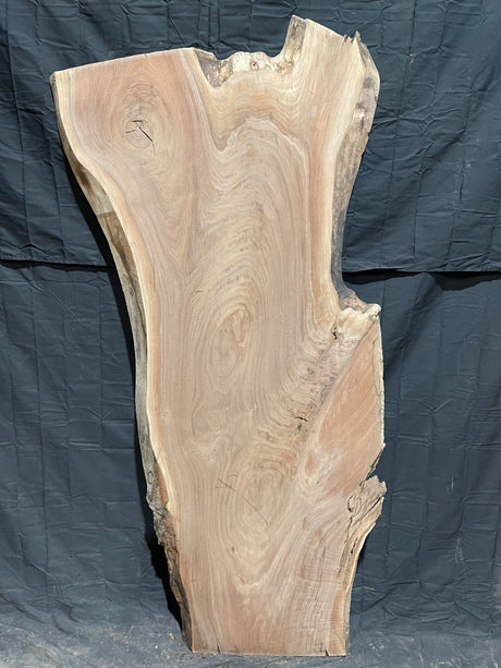 Black Walnut 8/4 Live Edge #538