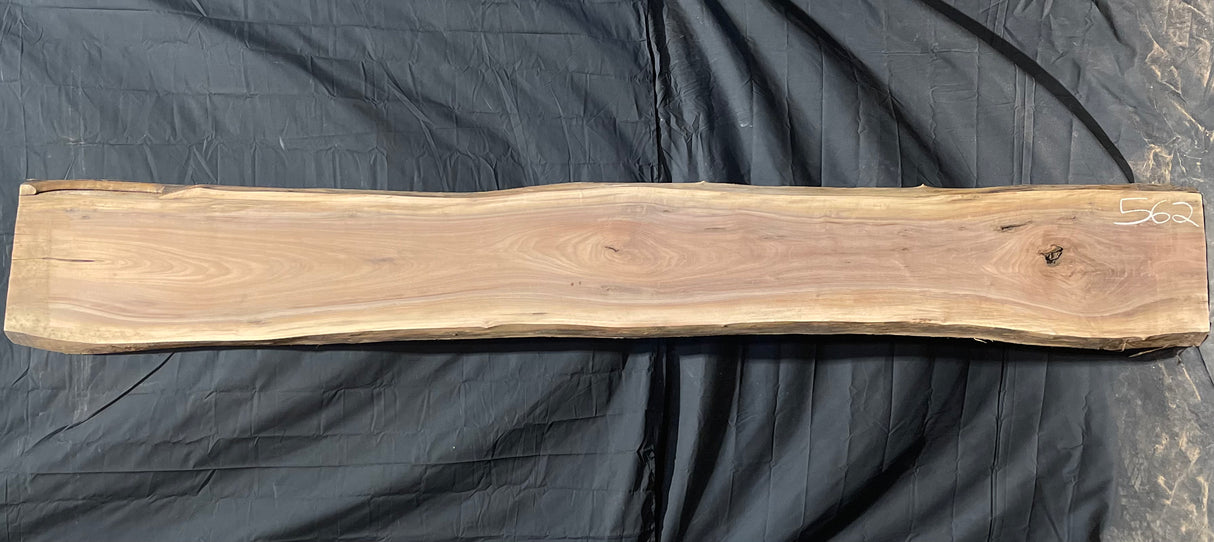 Black Walnut 8/4 Live Edge #562