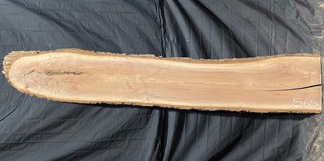 Black Walnut 8/4 Live Edge #565