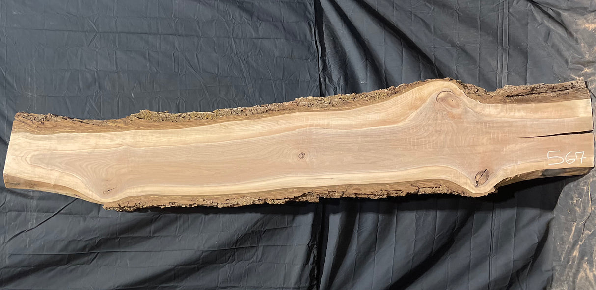 Black Walnut 8/4 Live Edge #567