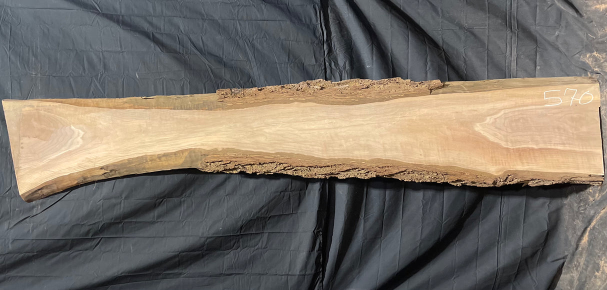 Black Walnut 8/4 Live Edge #570