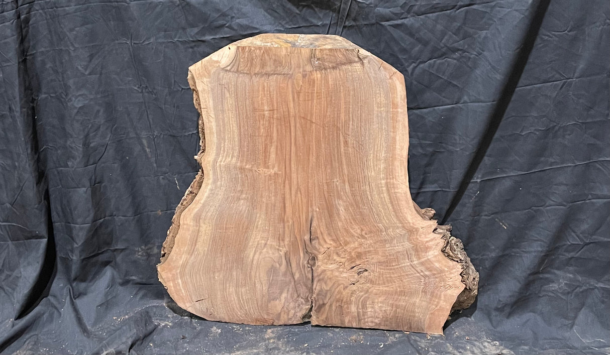 Claro Walnut Burl Cookie #050