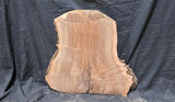 Claro Walnut Burl Cookie #050