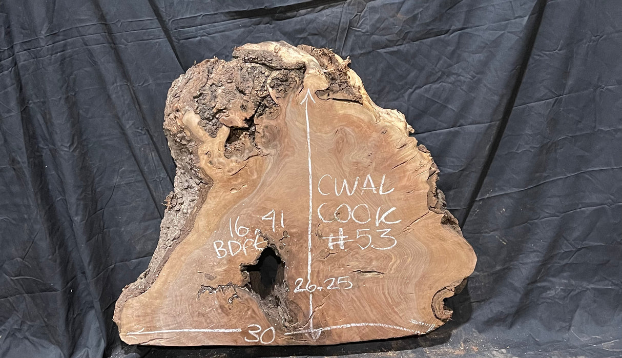 Claro Walnut Burl Cookie #053