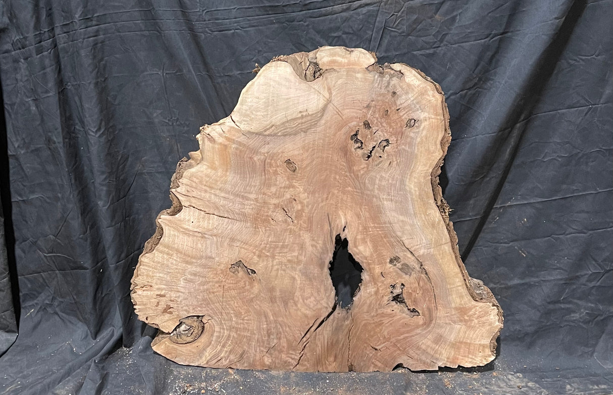 Claro Walnut Burl Cookie #053