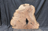 Claro Walnut Burl Cookie #053