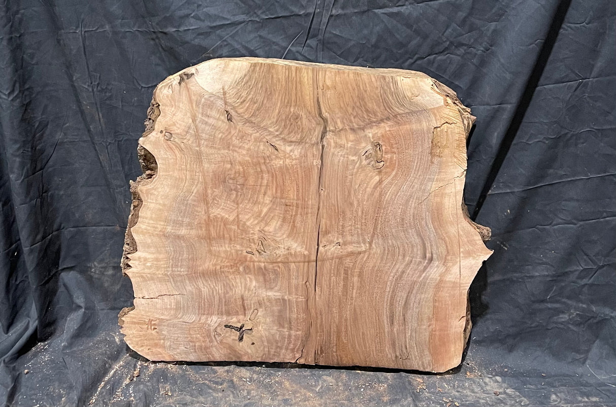 Claro Walnut Burl Cookie #055