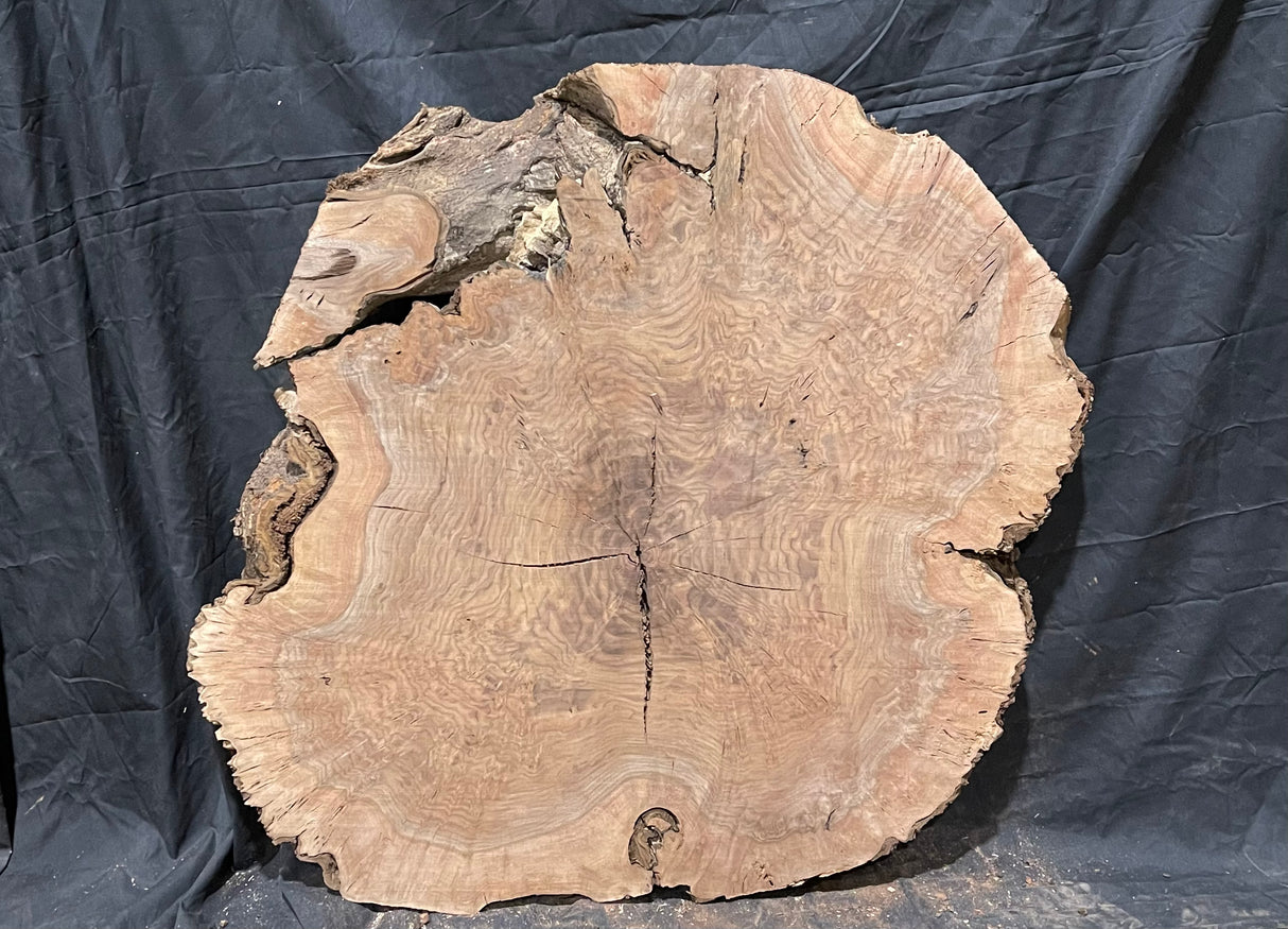 Claro Walnut Burl Cookie #056