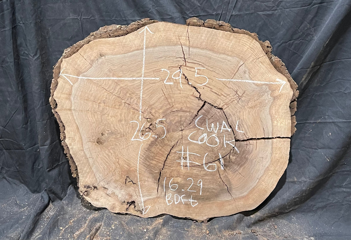 Claro Walnut Burl Cookie #061