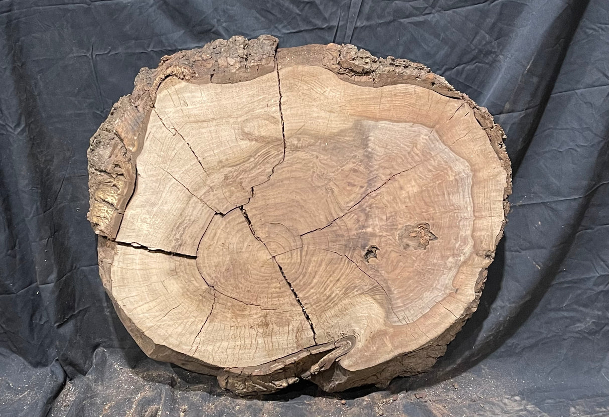 Claro Walnut Burl Cookie #061