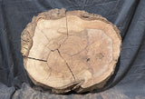 Claro Walnut Burl Cookie #061