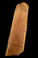 Mesquite Live Edge #5