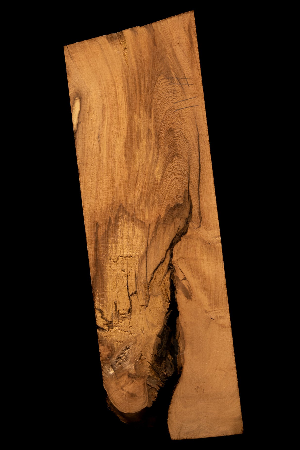 Mesquite Live Edge #11