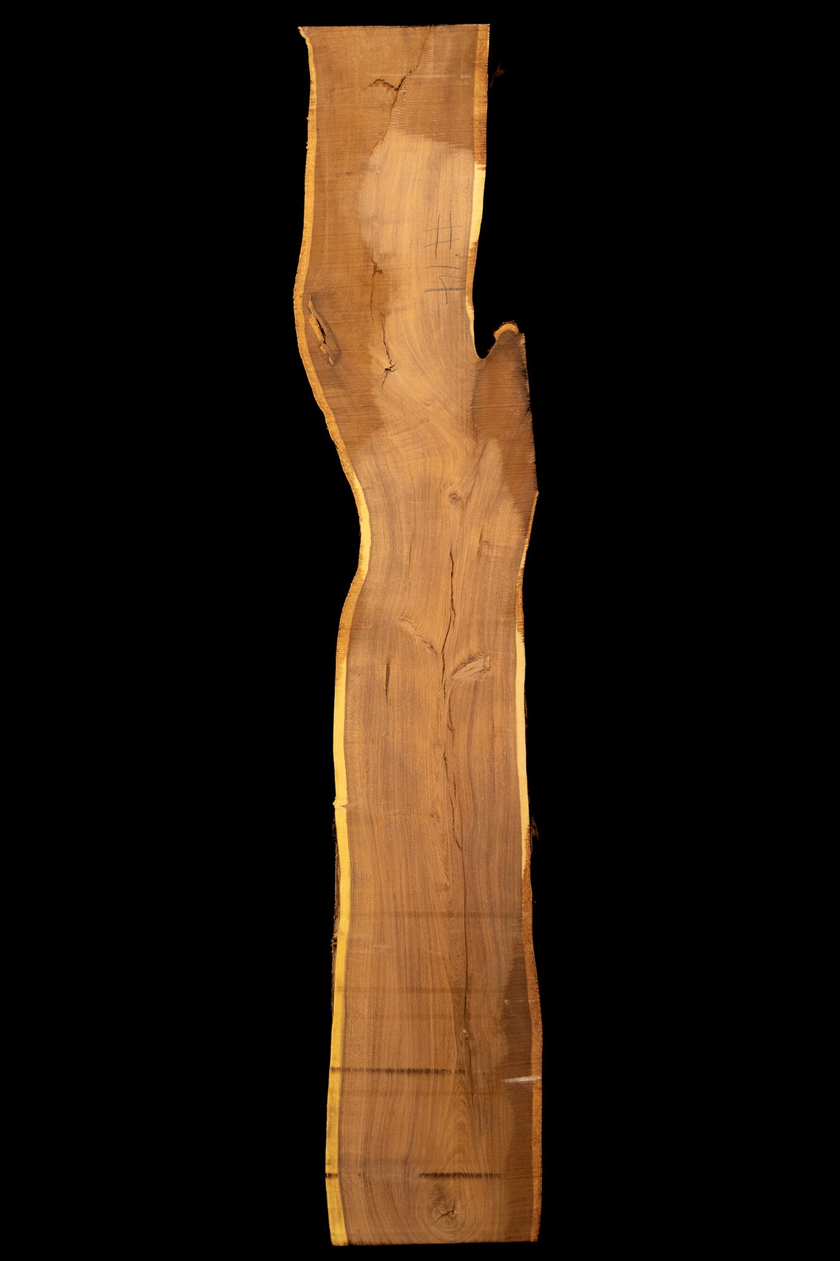 Mesquite Live Edge #14