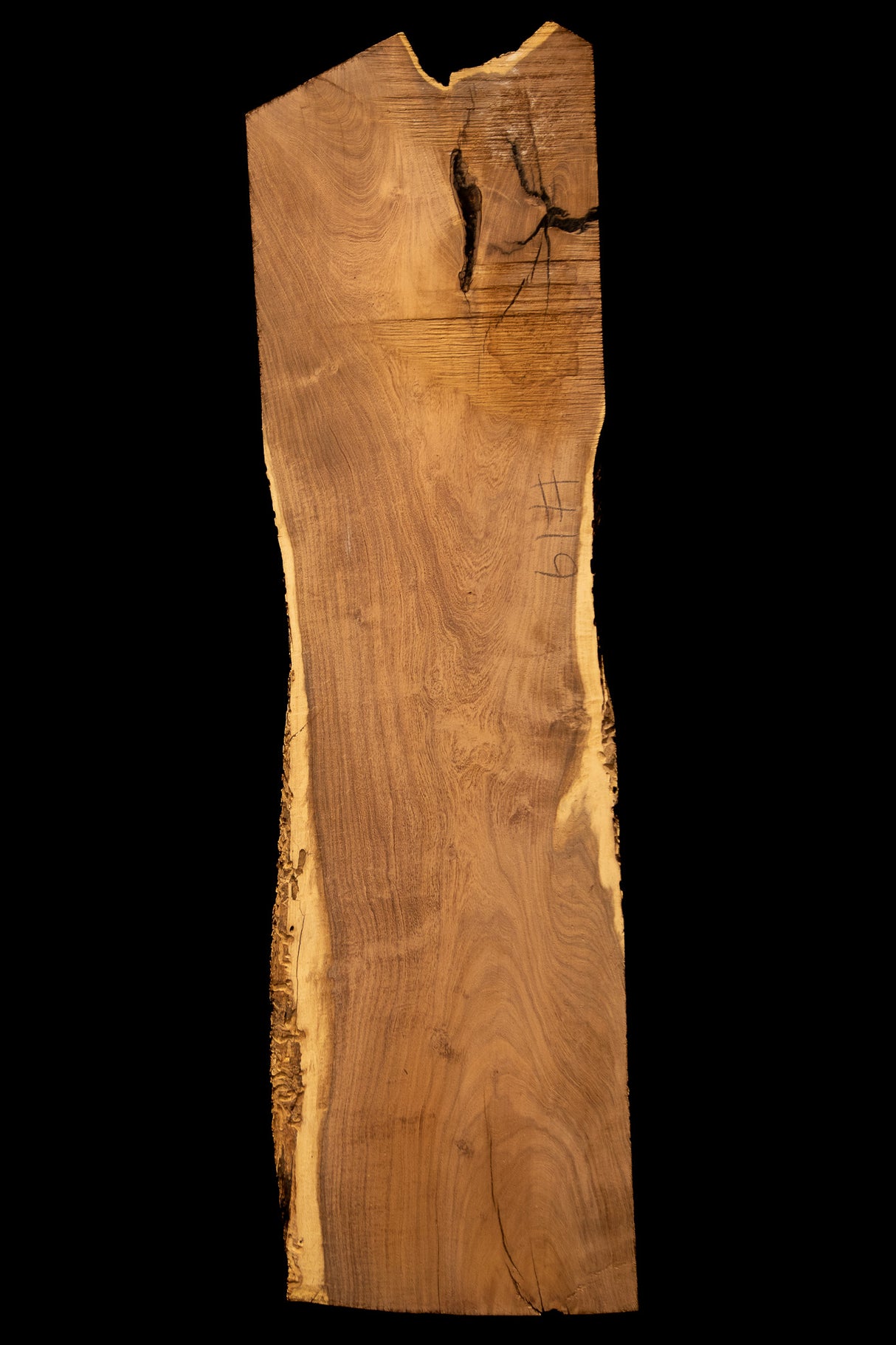 Mesquite Live Edge #19