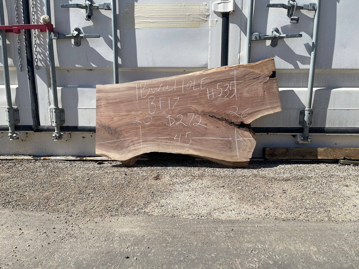 Black Walnut 10/4 Live Edge #535