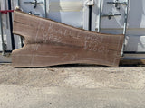 Black Walnut 10/4 Live Edge #538