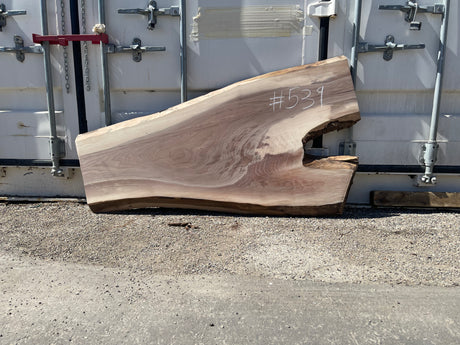 Black Walnut 10/4 Live Edge #539