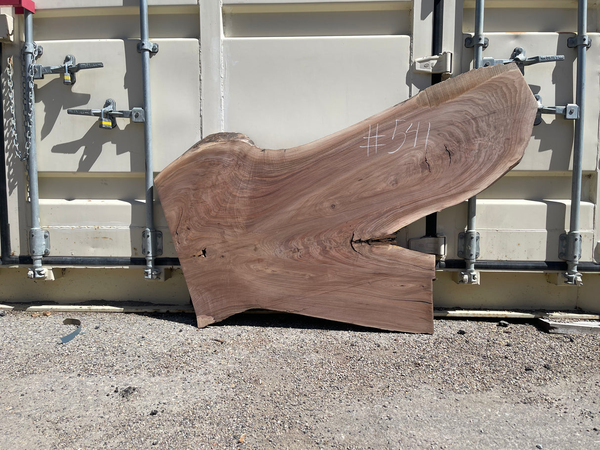 Black Walnut 10/4 Live Edge #541