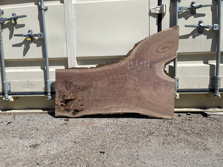 Black Walnut 10/4 Live Edge #544