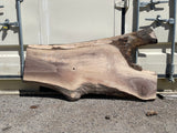 Black Walnut 10/4 Live Edge #546